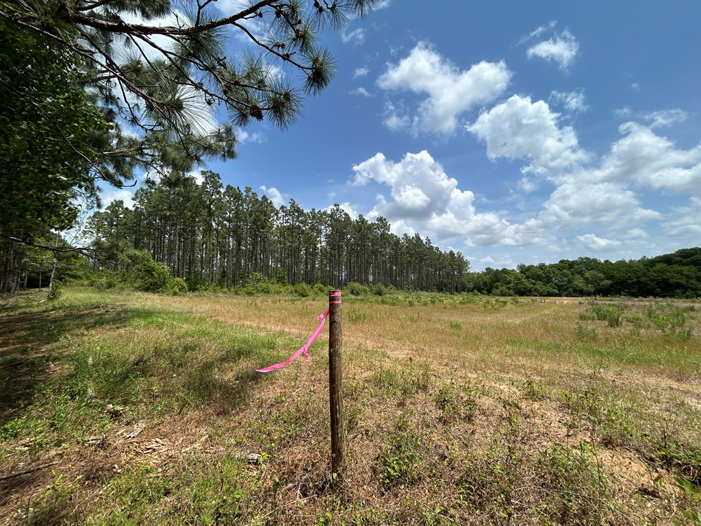 10907 (44+-ac) Cty Rd 41, Hartford, Alabama image 49
