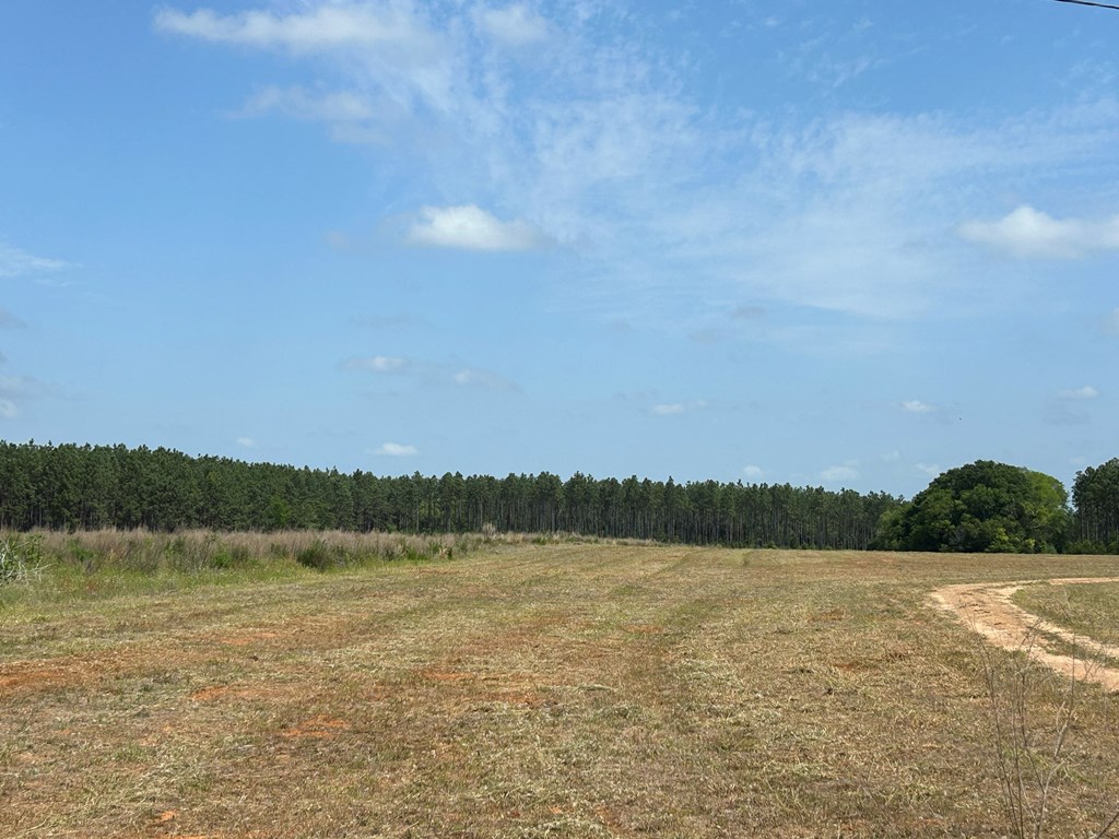 10907 (44+-ac) Cty Rd 41, Hartford, Alabama image 9