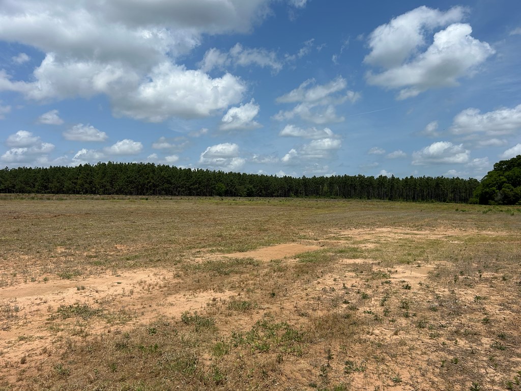 10907 (44+-ac) Cty Rd 41, Hartford, Alabama image 31
