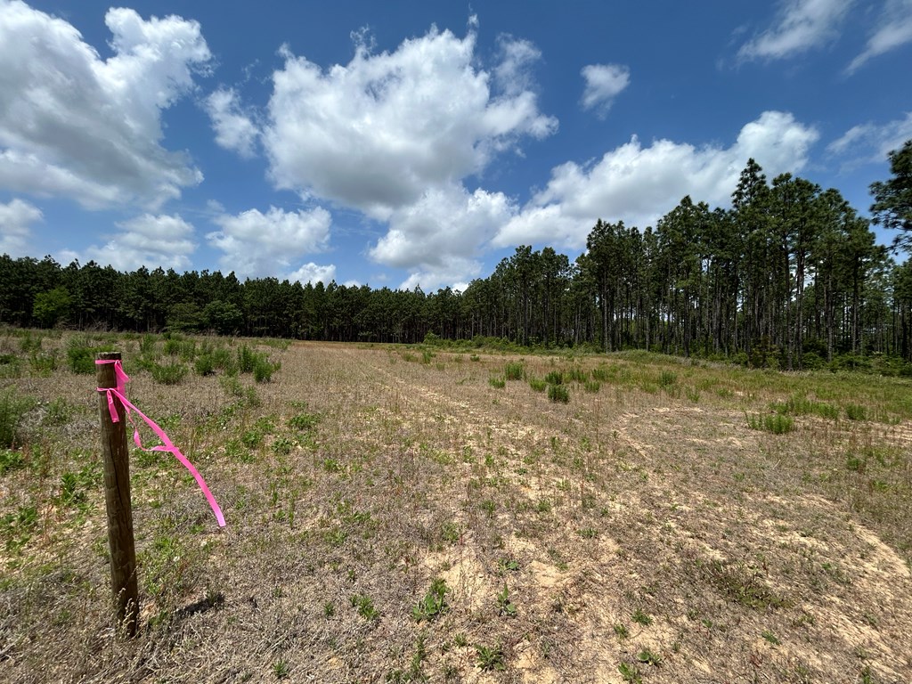 10907 (44+-ac) Cty Rd 41, Hartford, Alabama image 34