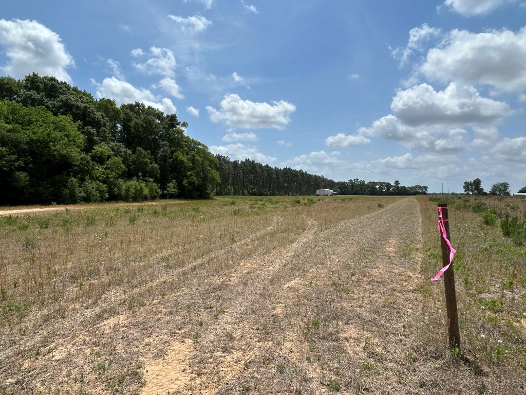 10907 (44+-ac) Cty Rd 41, Hartford, Alabama image 32