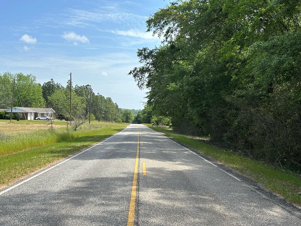 10907 (44+-ac) Cty Rd 41, Hartford, Alabama image 13