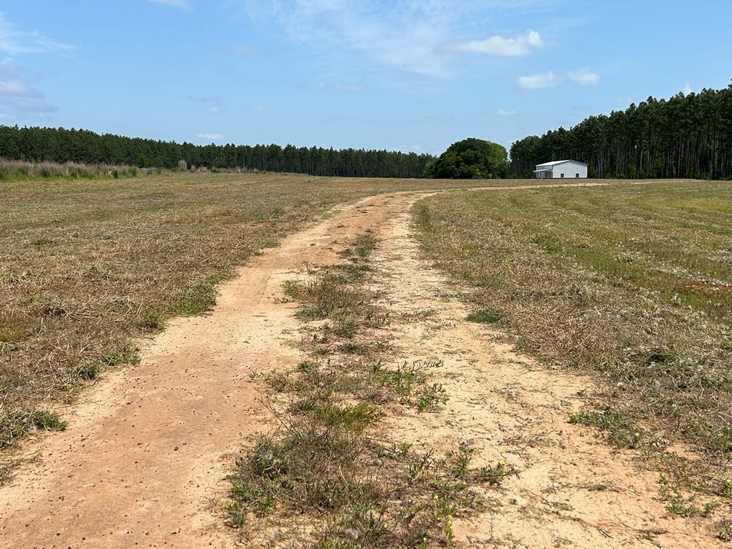 10907 (44+-ac) Cty Rd 41, Hartford, Alabama image 15