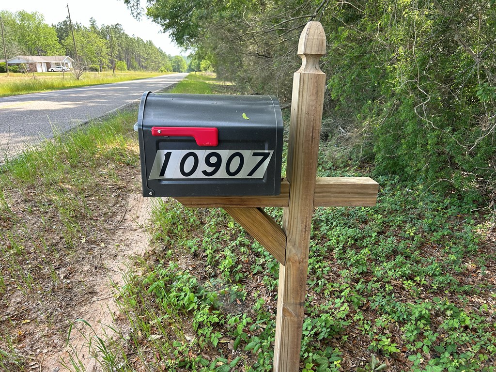 10907 (44+-ac) Cty Rd 41, Hartford, Alabama image 2