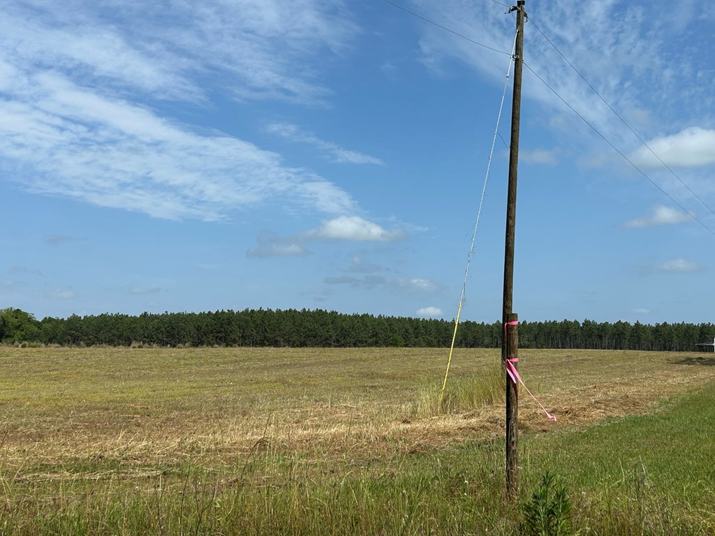 10907 (44+-ac) Cty Rd 41, Hartford, Alabama image 3