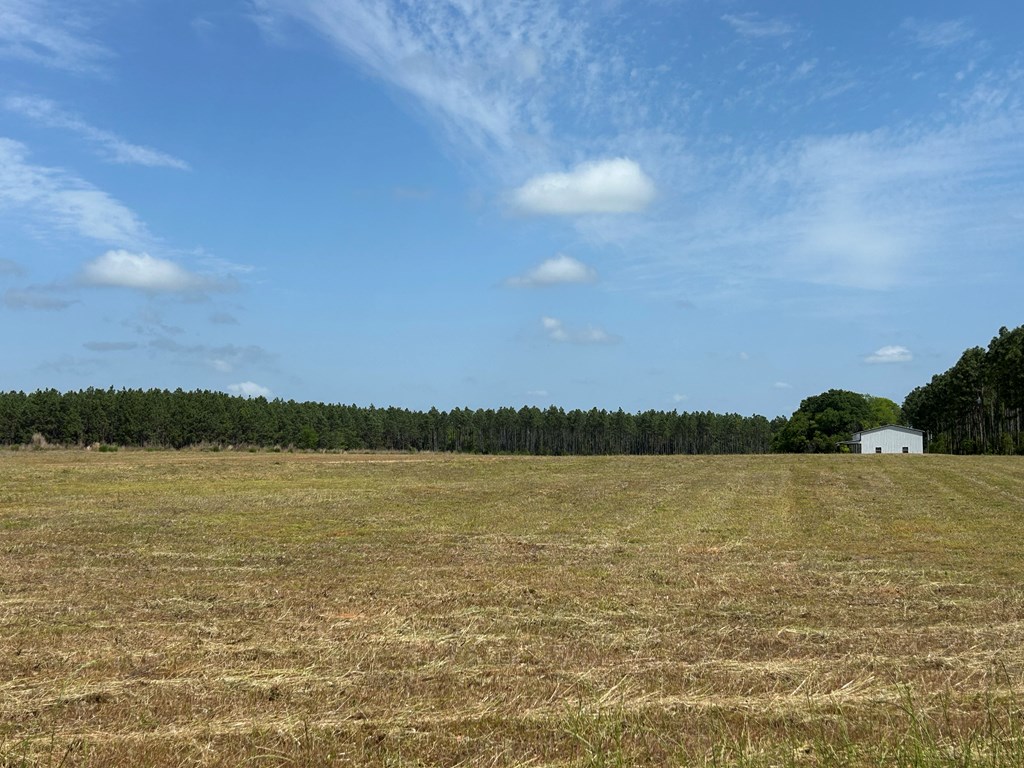 10907 (44+-ac) Cty Rd 41, Hartford, Alabama image 5