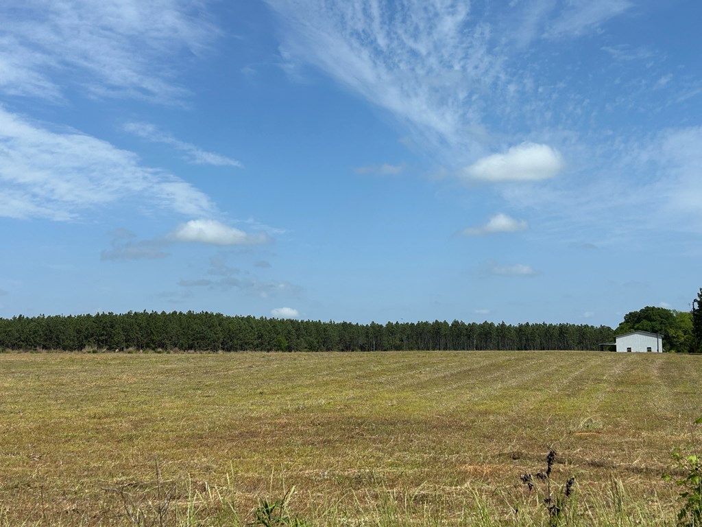 10907 (44+-ac) Cty Rd 41, Hartford, Alabama image 4