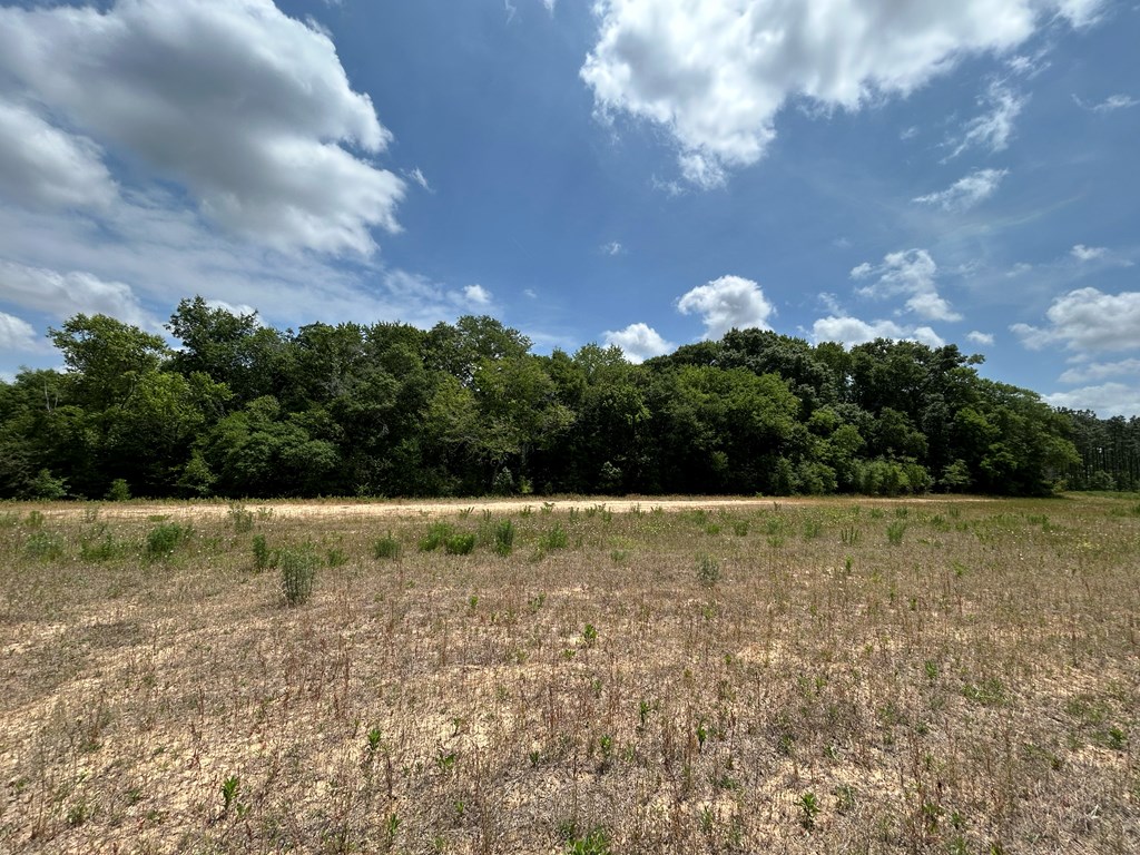 10907 (44+-ac) Cty Rd 41, Hartford, Alabama image 33