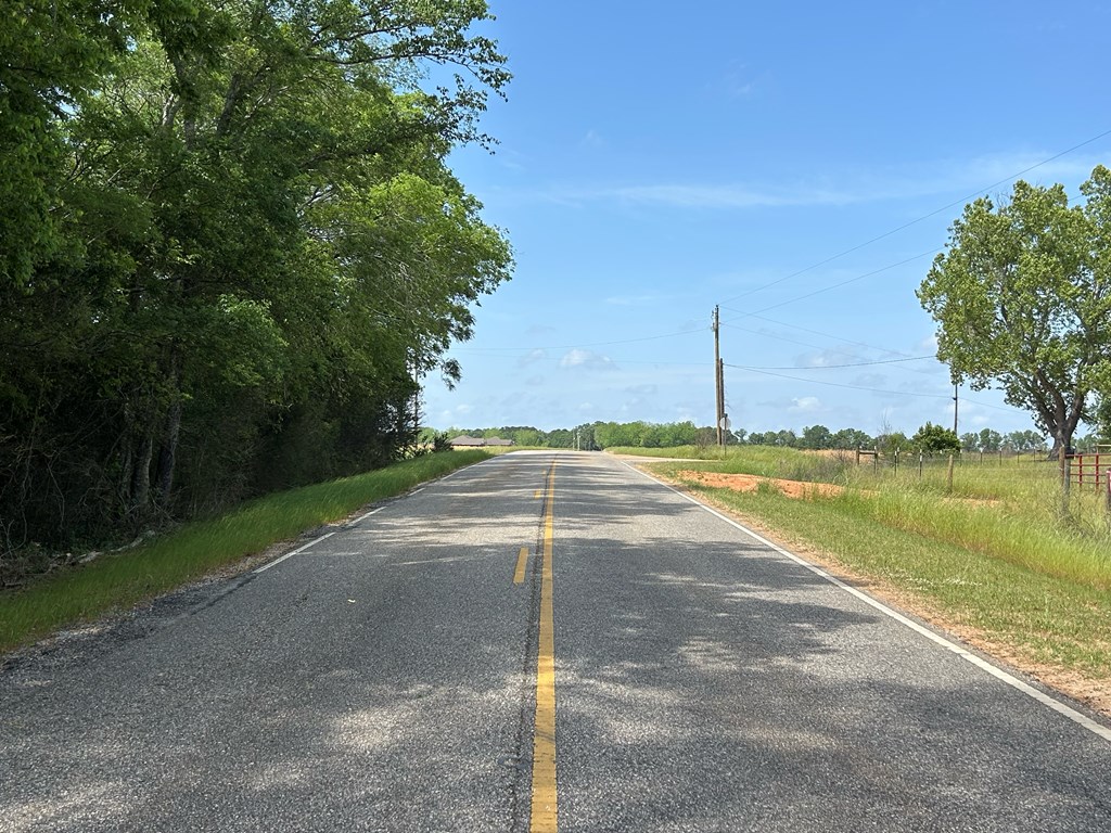 10907 (44+-ac) Cty Rd 41, Hartford, Alabama image 14