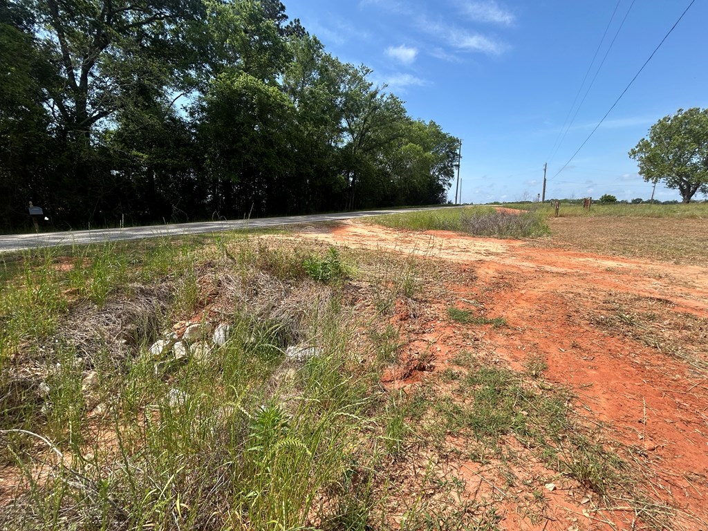 10907 (44+-ac) Cty Rd 41, Hartford, Alabama image 7