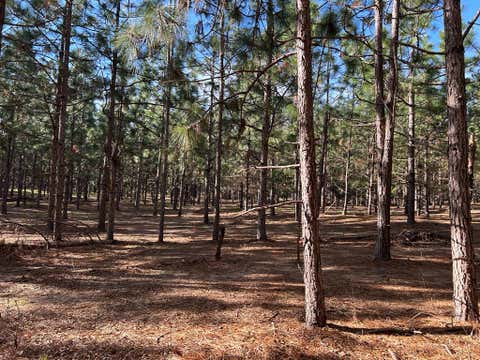 Vacant Land For Sale - LOT 6 3+-AC Cty Rd 18<br/> Henry County, Headland, AL 36345