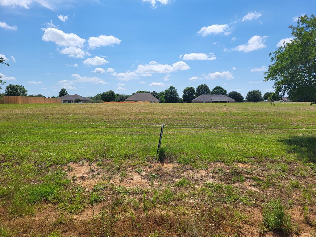 Lot 10 County Road 49, Headland, Alabama image 1