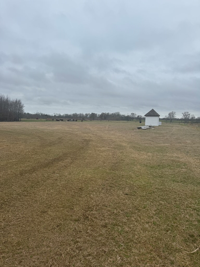 439 Jose Luis Road, Hartford, Alabama image 14