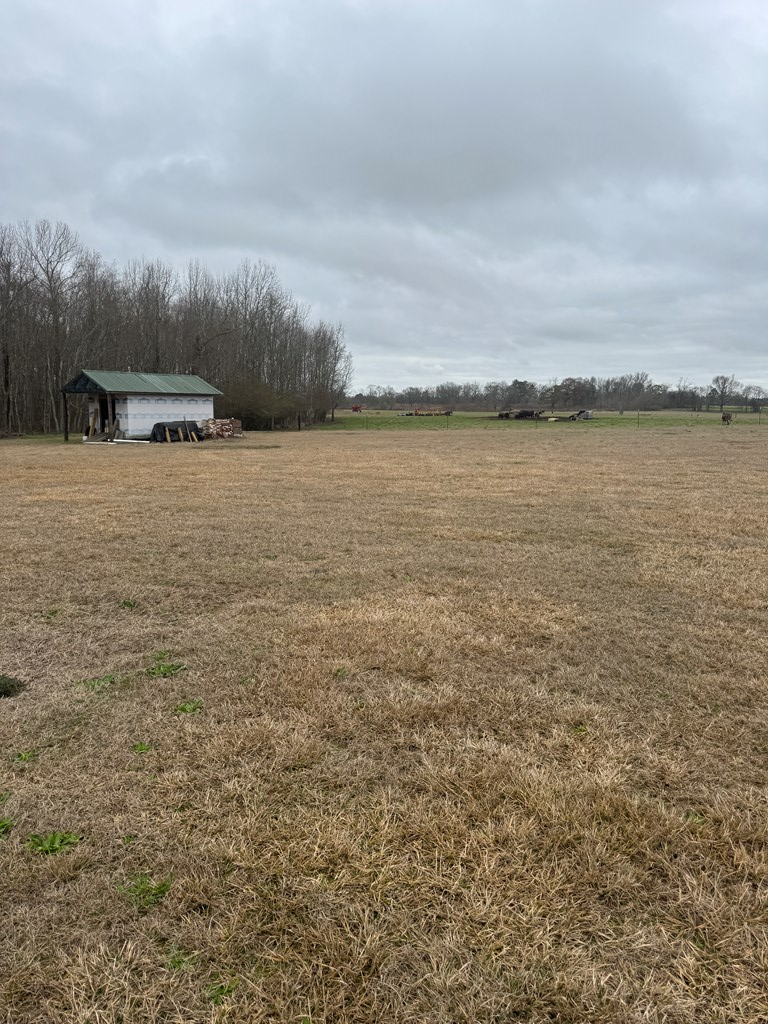 439 Jose Luis Road, Hartford, Alabama image 11