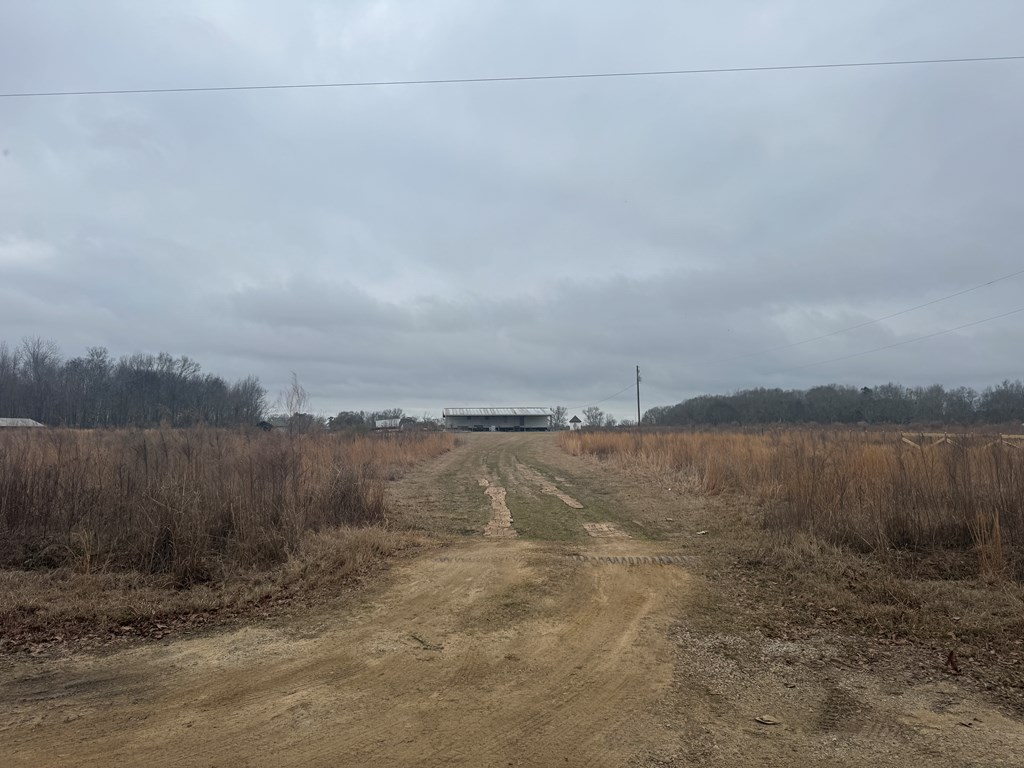 439 Jose Luis Road, Hartford, Alabama image 19
