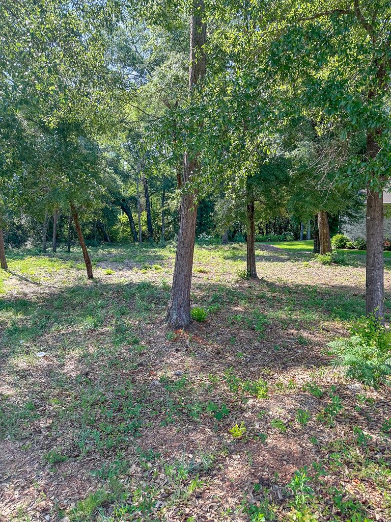 209 Wicklow Drive, Dothan, Alabama image 7
