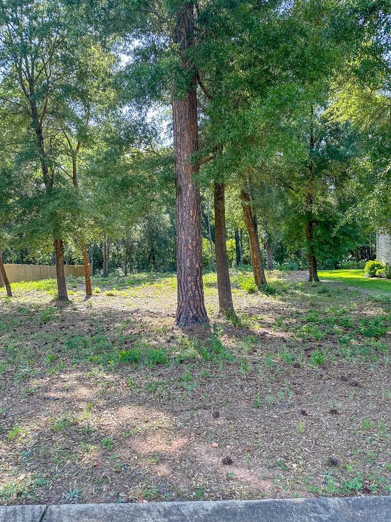 209 Wicklow Drive, Dothan, Alabama image 6