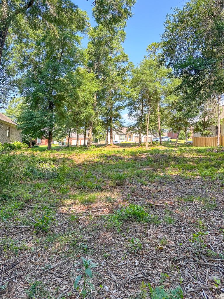 209 Wicklow Drive, Dothan, Alabama image 9