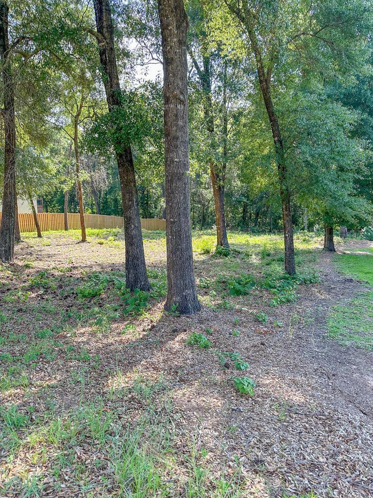 209 Wicklow Drive, Dothan, Alabama image 8