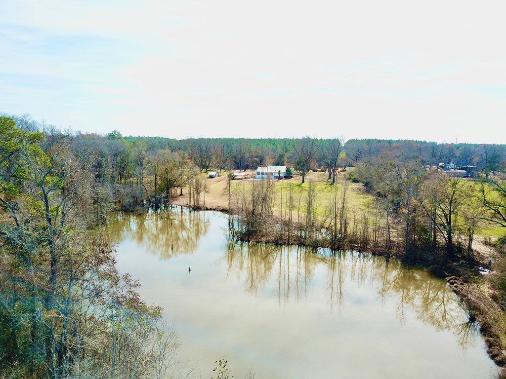 770 Hughes Rd   52 Acres Rd, Slocomb, Alabama image 8