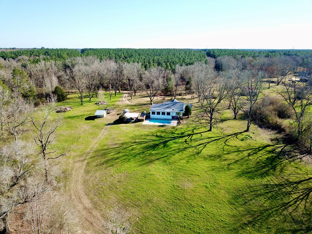 770 Hughes Rd   52 Acres Rd, Slocomb, Alabama image 7