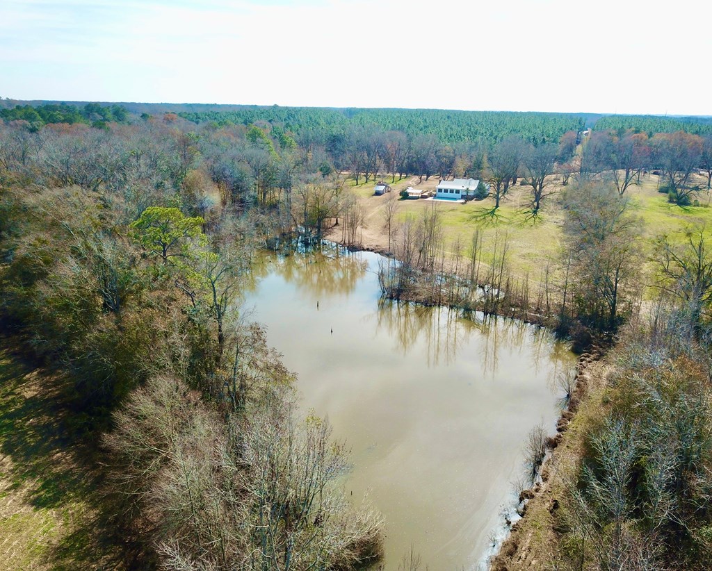 770 Hughes Rd   52 Acres Rd, Slocomb, Alabama image 3