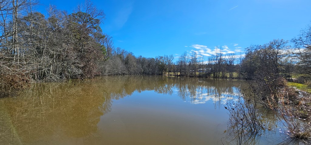 770 Hughes Rd   52 Acres Rd, Slocomb, Alabama image 9