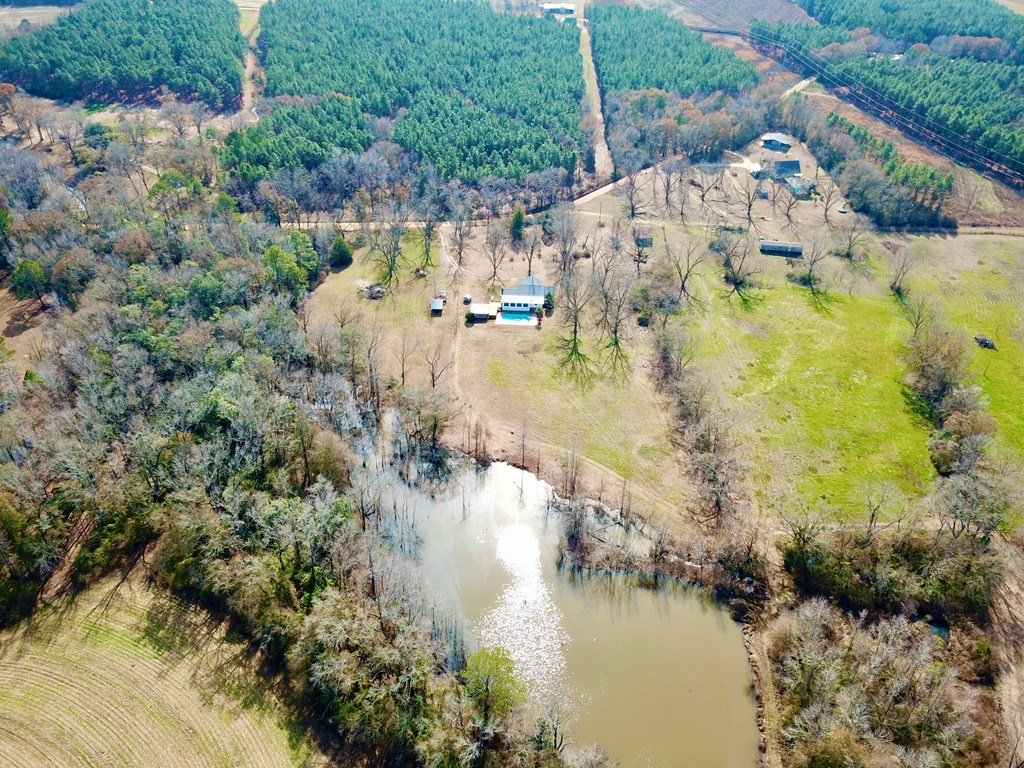 770 Hughes Rd   52 Acres Rd, Slocomb, Alabama image 20