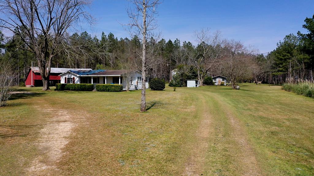 369 Bud Gary Road, Clayton, Alabama image 4