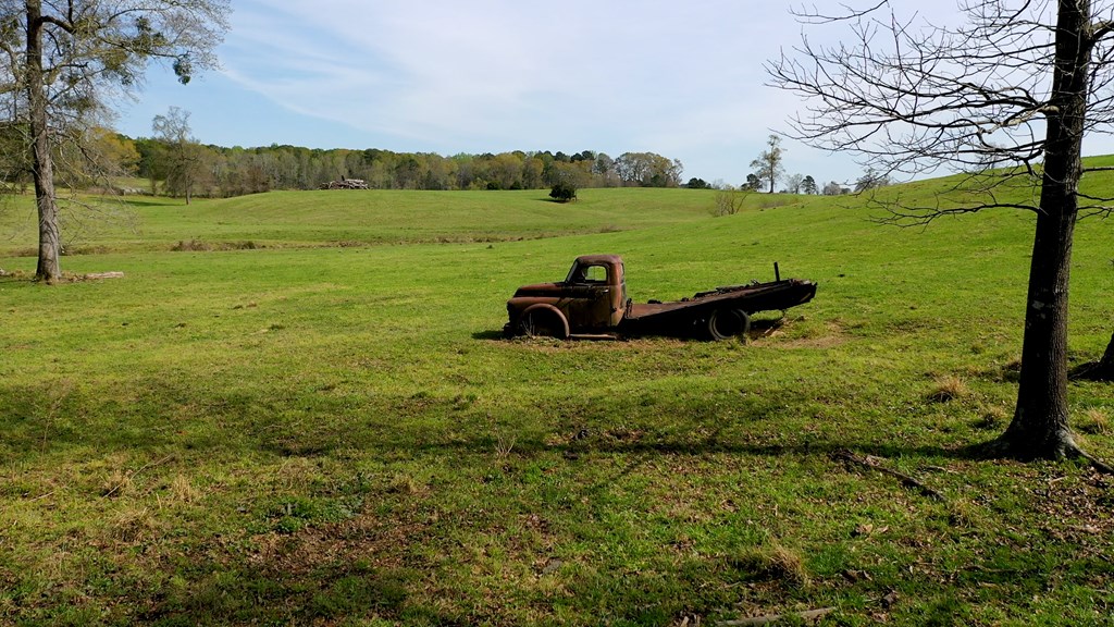 369 Bud Gary Road, Clayton, Alabama image 41