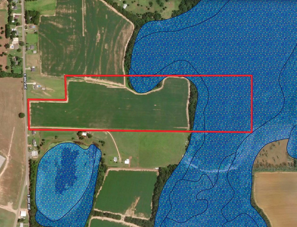 53 Acres Highway 123, Hartford, Alabama image 19