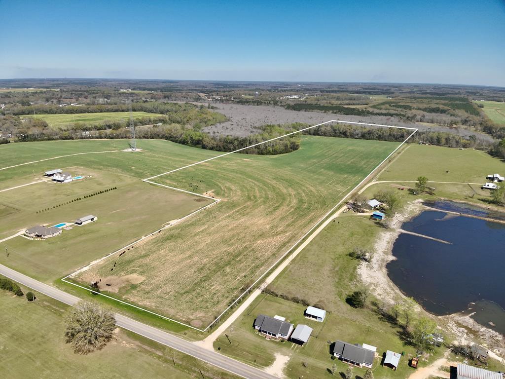 53 Acres Highway 123, Hartford, Alabama image 2