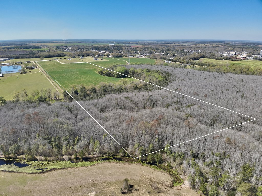 53 Acres Highway 123, Hartford, Alabama image 11