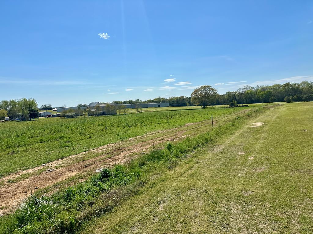 53 Acres Highway 123, Hartford, Alabama image 21