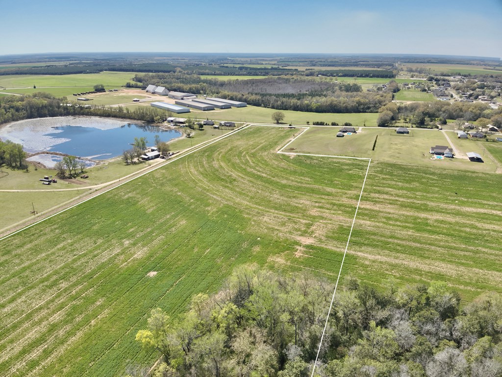 53 Acres Highway 123, Hartford, Alabama image 15
