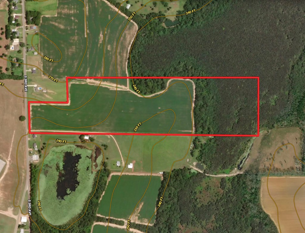 53 Acres Highway 123, Hartford, Alabama image 17