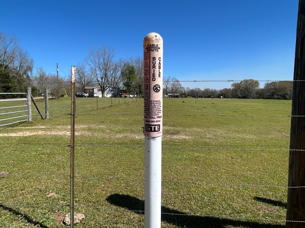 16.6+-ac Dale Cty Rd 530, Midland City, Alabama image 12