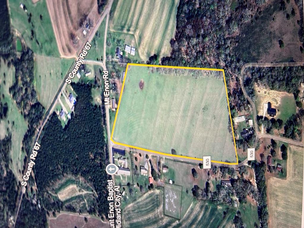 16.6+-ac Dale Cty Rd 530, Midland City, Alabama image 3