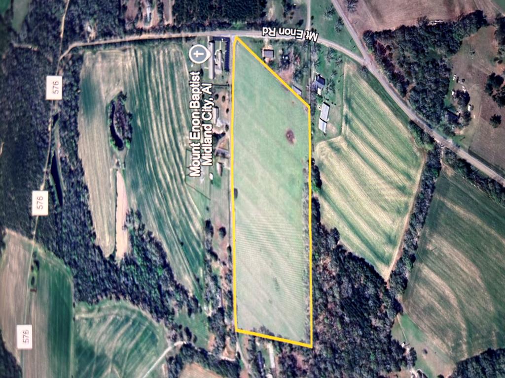 16.6+-ac Dale Cty Rd 530, Midland City, Alabama image 6