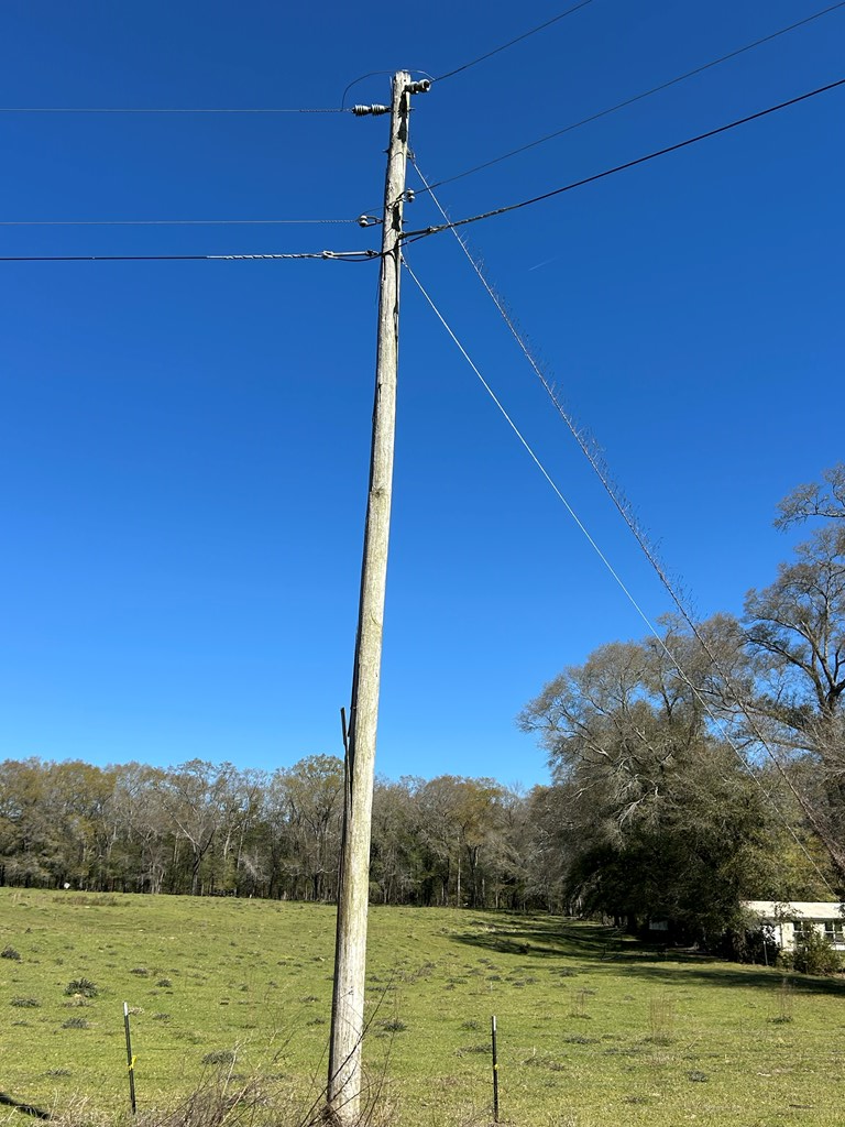 16.6+-ac Dale Cty Rd 530, Midland City, Alabama image 22