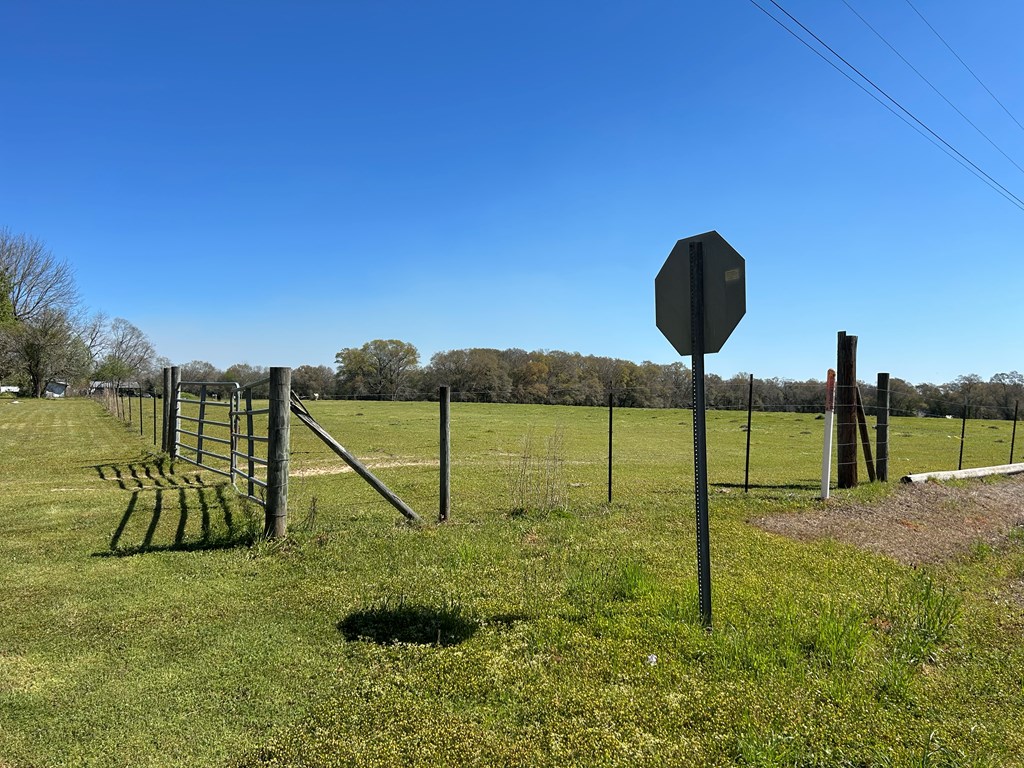 16.6+-ac Dale Cty Rd 530, Midland City, Alabama image 9