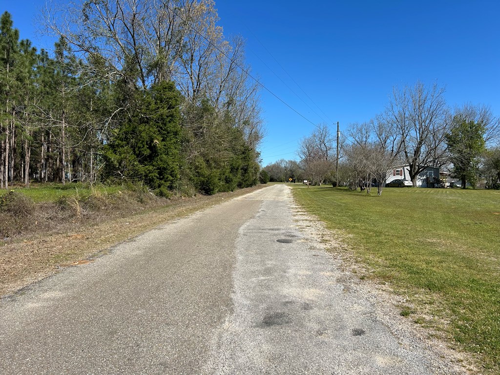 16.6+-ac Dale Cty Rd 530, Midland City, Alabama image 10