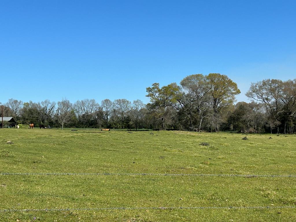 16.6+-ac Dale Cty Rd 530, Midland City, Alabama image 1