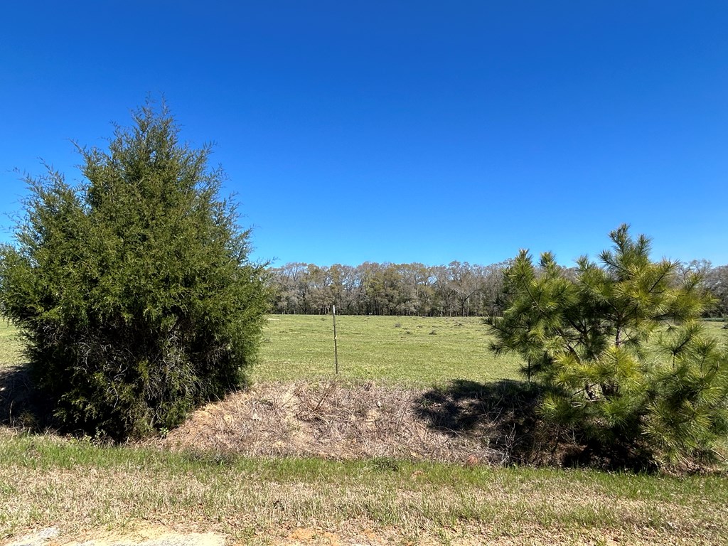 16.6+-ac Dale Cty Rd 530, Midland City, Alabama image 20