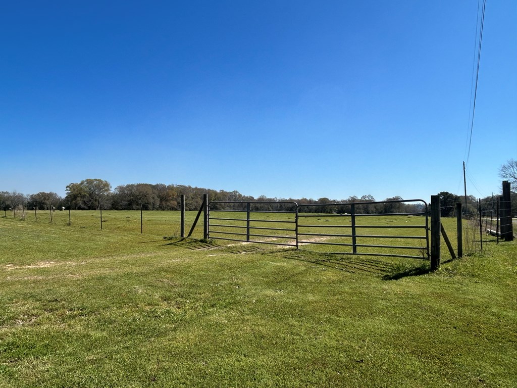 16.6+-ac Dale Cty Rd 530, Midland City, Alabama image 11
