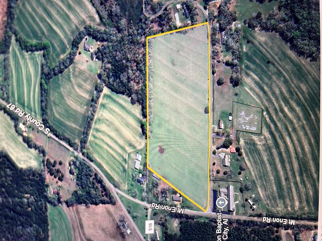 16.6+-ac Dale Cty Rd 530, Midland City, Alabama image 4
