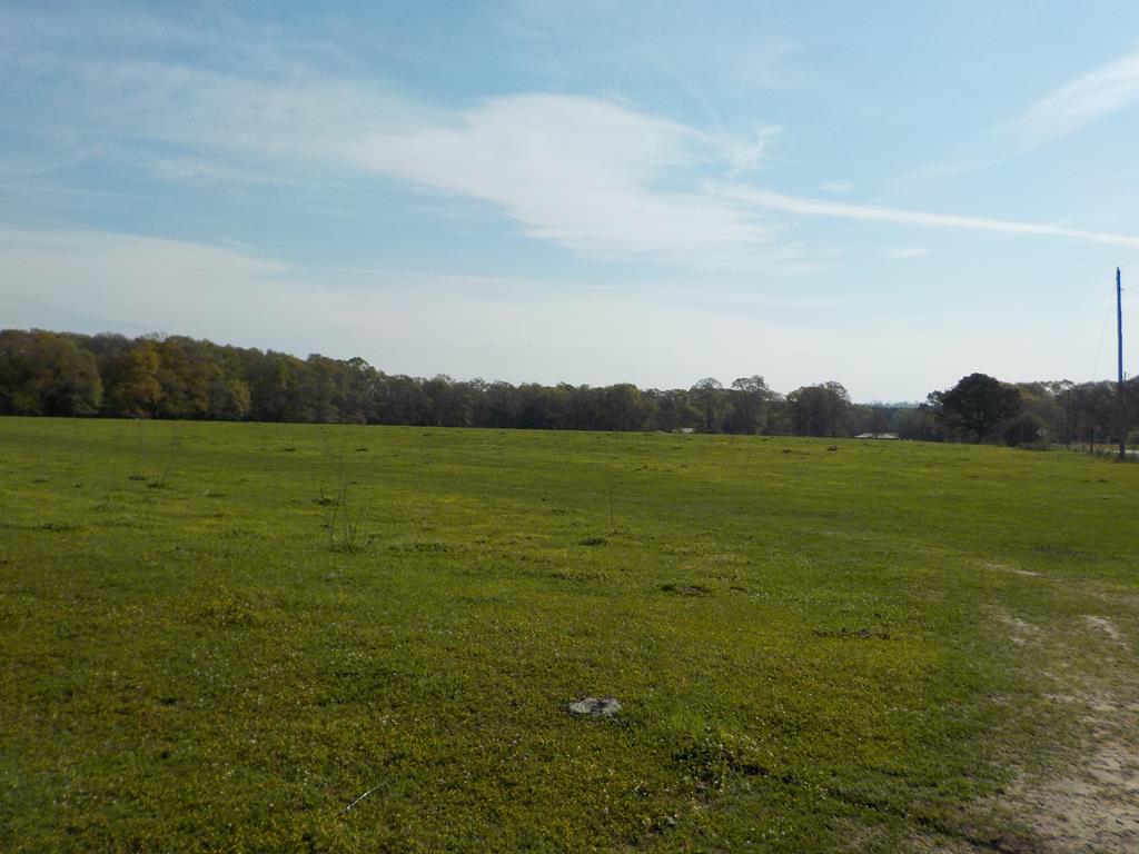 16.6+-ac Dale Cty Rd 530, Midland City, Alabama image 16