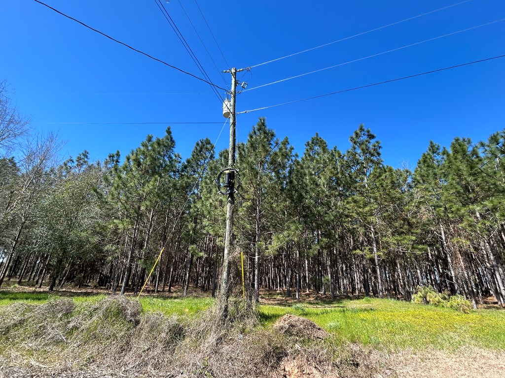16.6+-ac Dale Cty Rd 530, Midland City, Alabama image 25