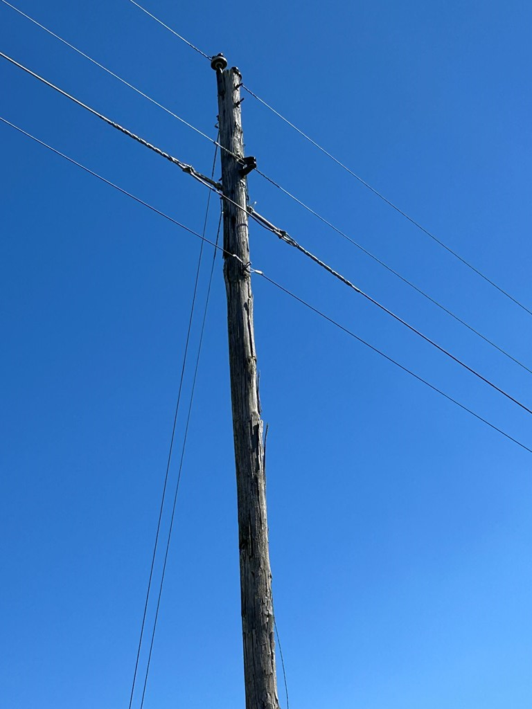 16.6+-ac Dale Cty Rd 530, Midland City, Alabama image 15