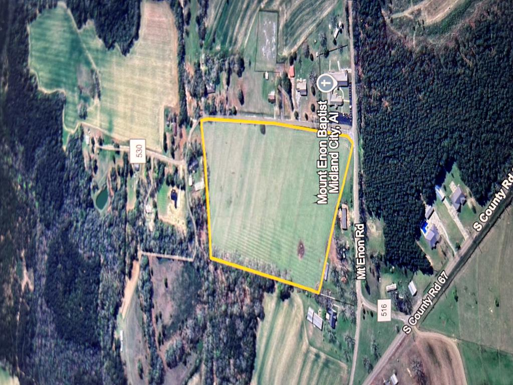 16.6+-ac Dale Cty Rd 530, Midland City, Alabama image 5